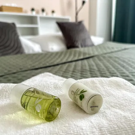 Kampus Palace 酒店 俄斯特拉发